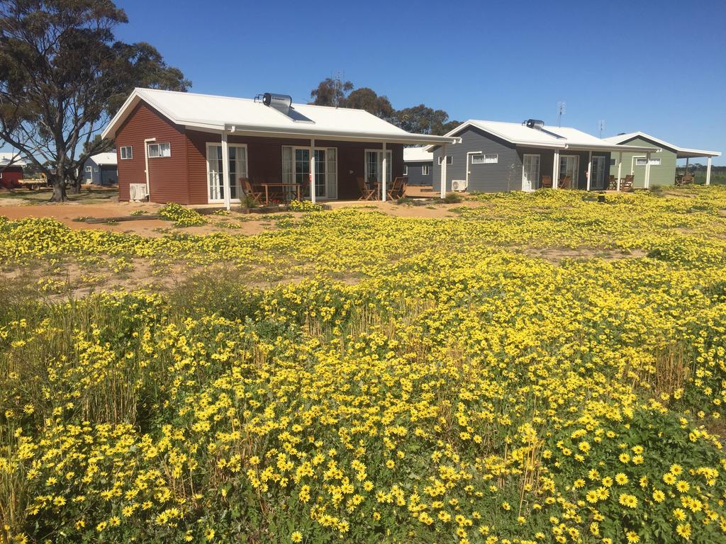 Mary'S Farm Cottages Kukerin Exterior photo